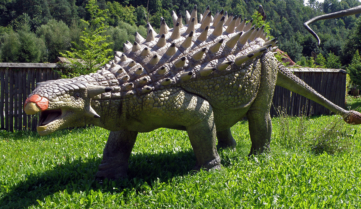 Bilim insanları 'zırh derili' yeni dinozor türüne ait fosil buldu Bilim insanları 'zırh derili' yeni dinozor türüne ait fosil buldu