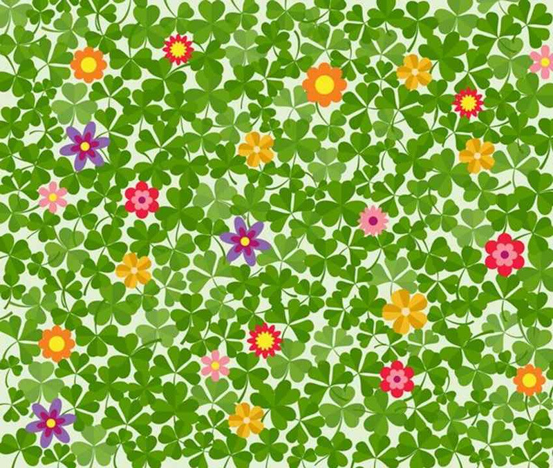 Süre: 5 saniye! Görseldeki 4 yapraklı yoncayı bulana piyango çıkıyor