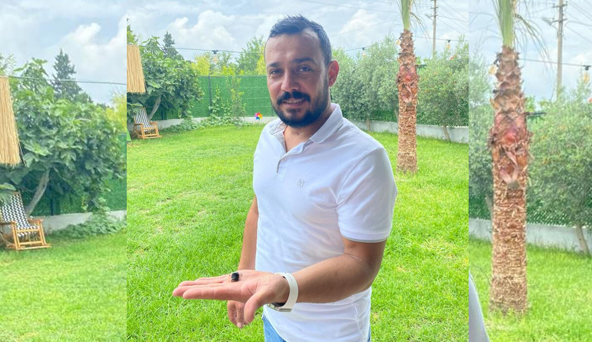 Dünyanın en güçlü böceği Türkiye'de görüldü! Ağırlığının 850 kat fazlasını taşıyabiliyor Dünyanın en güçlü böceği Türkiye'de görüldü! Ağırlığının 850 kat fazlasını taşıyabiliyor