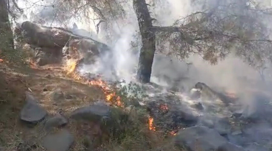Mersin’de korkutan orman yangını: 4 dönüm alan küle döndü