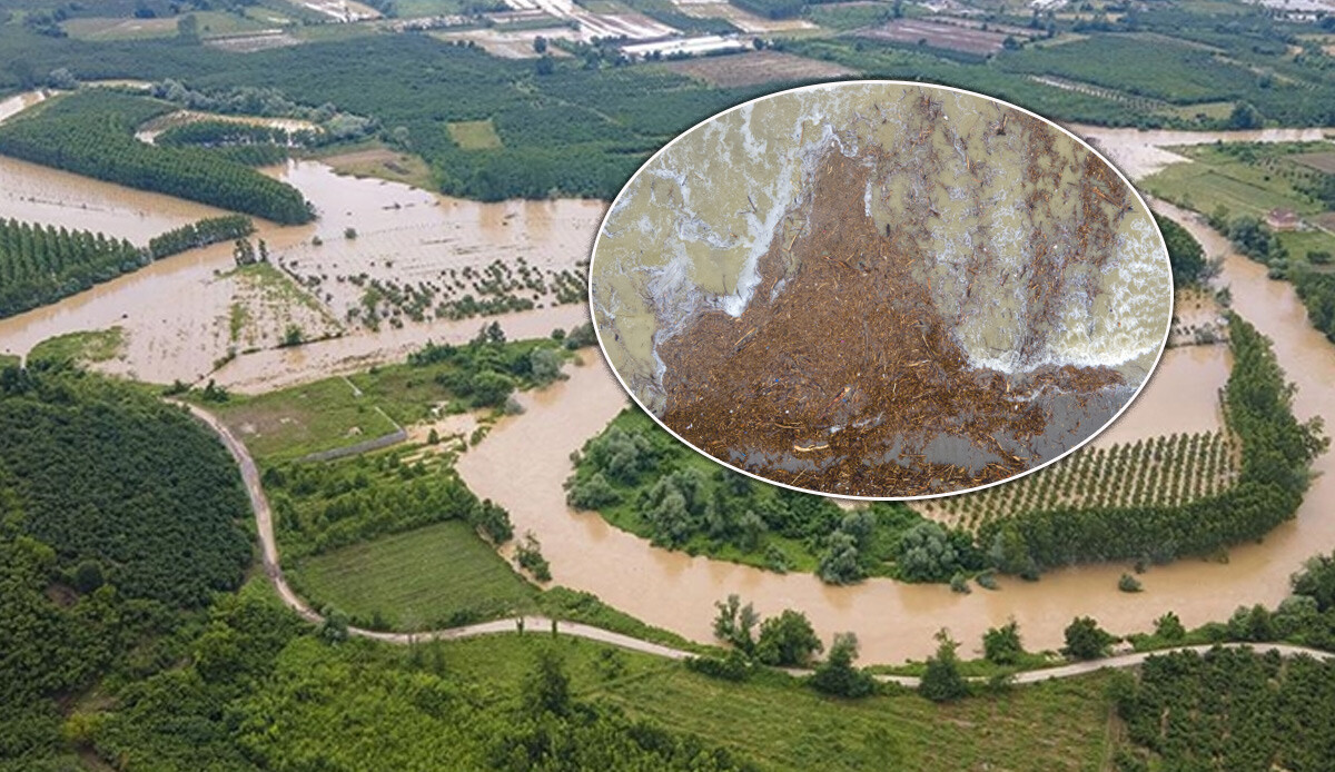 Sakarya&#039;da denizin rengi değişti! Sağanak sonrası çok sayıda plastik şişe, ağaçlar ve tıbbi atıklar kıyıya vurdu