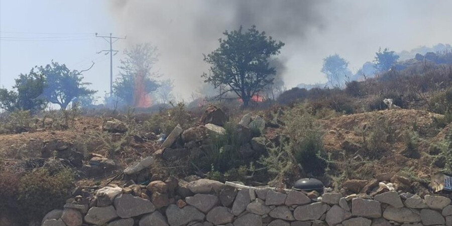 Bodrum'da yangın! 20 dönüm alan zarar gördü