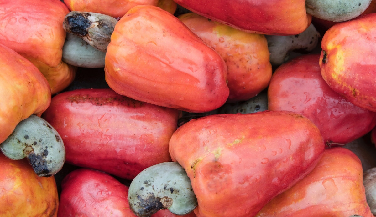 Her gün 1 avuç yeter! Damarları temizliyor, kalbi yeniliyor