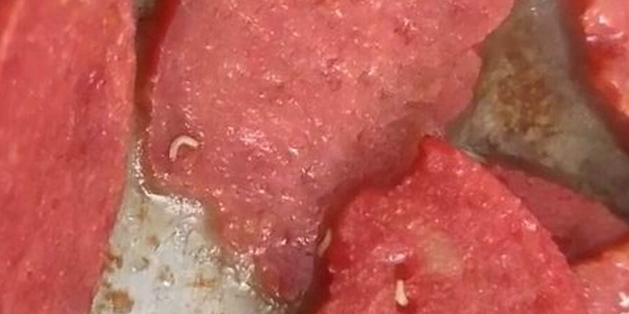 Mide bulandıran olay! Marketten aldığı sucuğun içinden kurtçuk fışkırdı