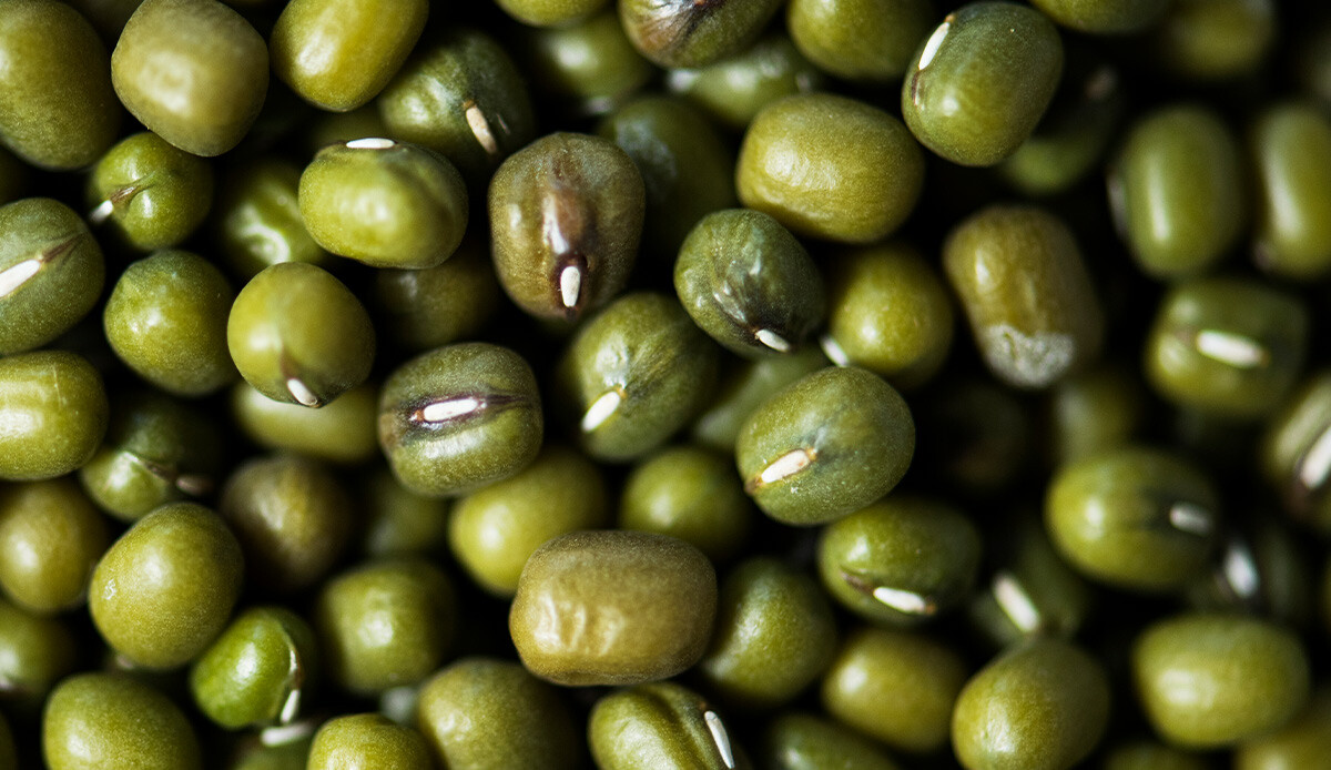 Etten fazla protein içeriyor! Kansere kalkan, kötü kolesterole düşman… Etten fazla protein içeriyor! Kansere kalkan, kötü kolesterole düşman…