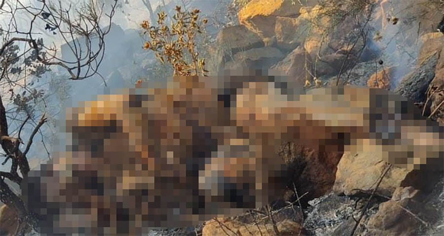 Marmaris'teki orman yangını kontrol altına alındı, erkek cesedi bulundu