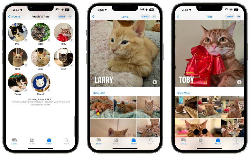 <p>Apple, iOS 17 güncellemesinde fotoğraf alanında birçok farklı yeni özellik ekledi. Bu özelliklerden ilki hayvan sahiplerini yakından ilgilendiriyor. iPhone'lar artık evcil hayvanları da Fotoğraflar uygulamasında tanıyacak ve onlar için ayrı bir albüm oluşturabilecek. Albümler ise
