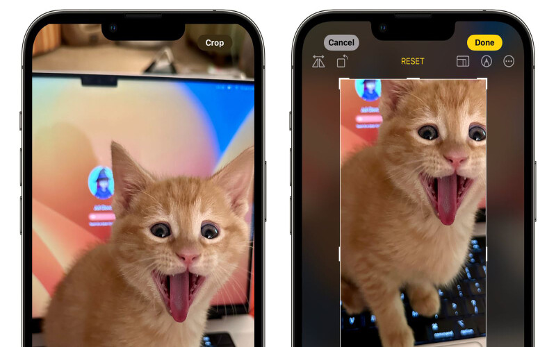 <p>iOS 17 güncellemesinde gelen bir diğer özellik ise fotoğrafları düzenleme kısmıyla ilgili oldu. iPhone kullancıları artık herhangi bir fotoğrafı kırpmak istediğinde yakınlaştırması yeterli olacak. Fotoğrafın yakınlaştırılması halinde sağ üstte iOS'un Kırpma Aracı yer alacak. daha önce fotoğrafı kırpmak için Düzenle seçeneğine ve ardından da Kırpma Aracı'nı seçmek gerekiyordu. </p><p>(Kaynak, Macrumors; Derleyen, Helin Pastacı)</p>