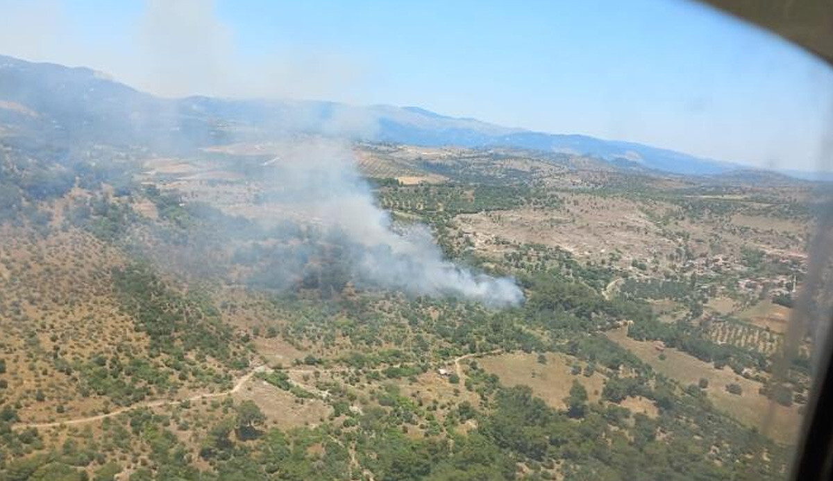 İzmir Bergama'da orman yangını çıktı! Ekipler havadan ve karadan müdahale ediyor