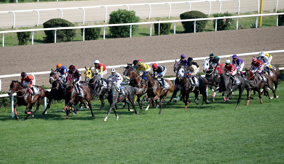 Veliefendi Hipodromu