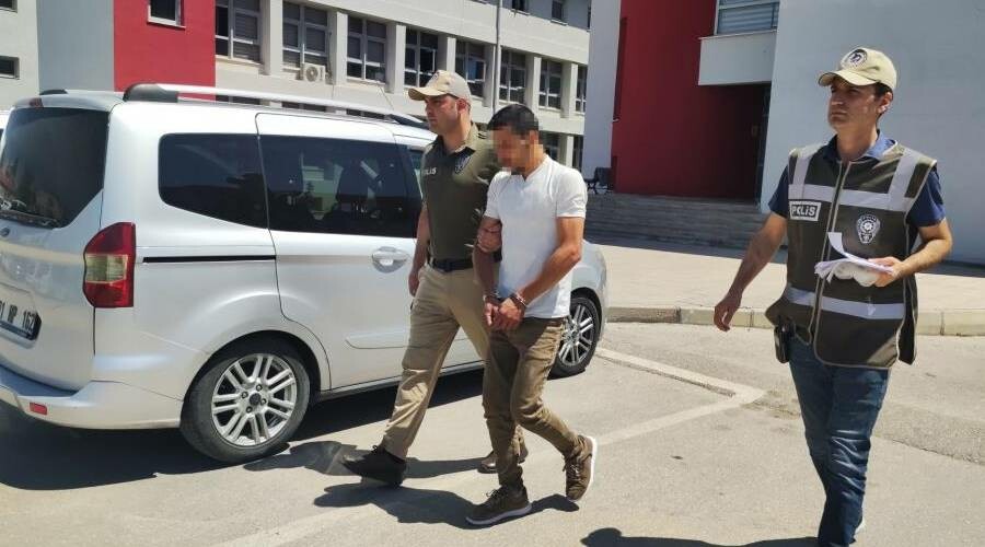 Koyunu bayıltana kadar döven kasap kendini böyle savundu: Yormak için yaptım