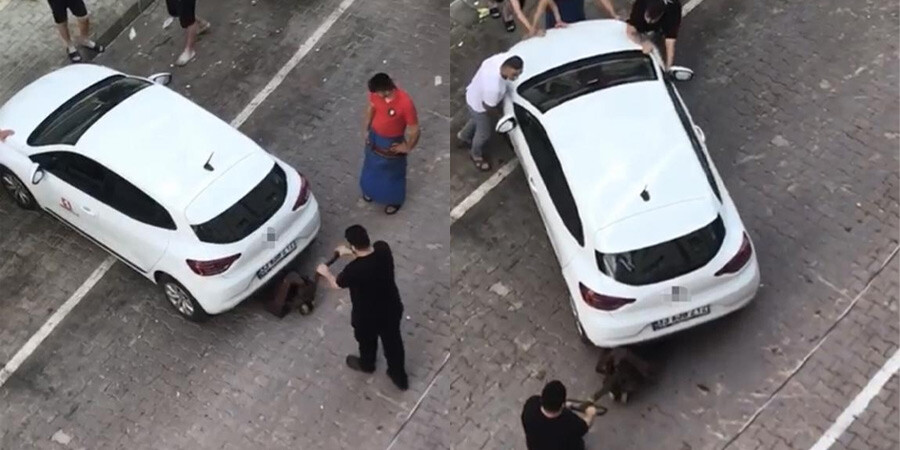 Park halindeki aracı sahibine ulaşamayınca ortaya ilginç anlar çıktı! Transpaletle aracı taşıdılar Park halindeki aracı sahibine ulaşamayınca ortaya ilginç anlar çıktı! Transpaletle aracı taşıdılar