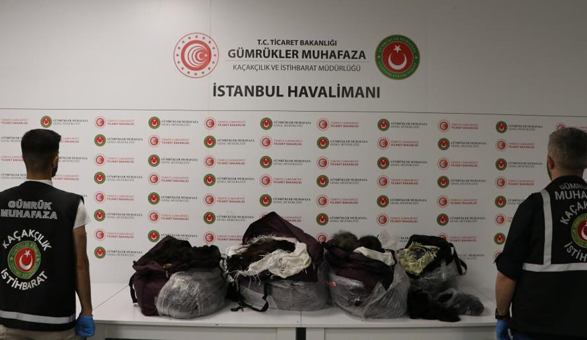 Havalimanındaki ekipler şaştı kaldı! Tam 1 milyon değerinde 93 kilo insan saçı ele geçirildi Havalimanındaki ekipler şaştı kaldı! Tam 1 milyon değerinde 93 kilo insan saçı ele geçirildi