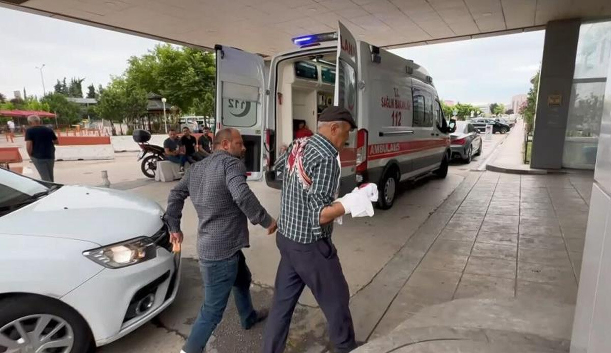 Kurban bayramında manzara yine aynı: Acemi kasaplar hastanelik oldu Kurban bayramında manzara yine aynı: Acemi kasaplar hastanelik oldu