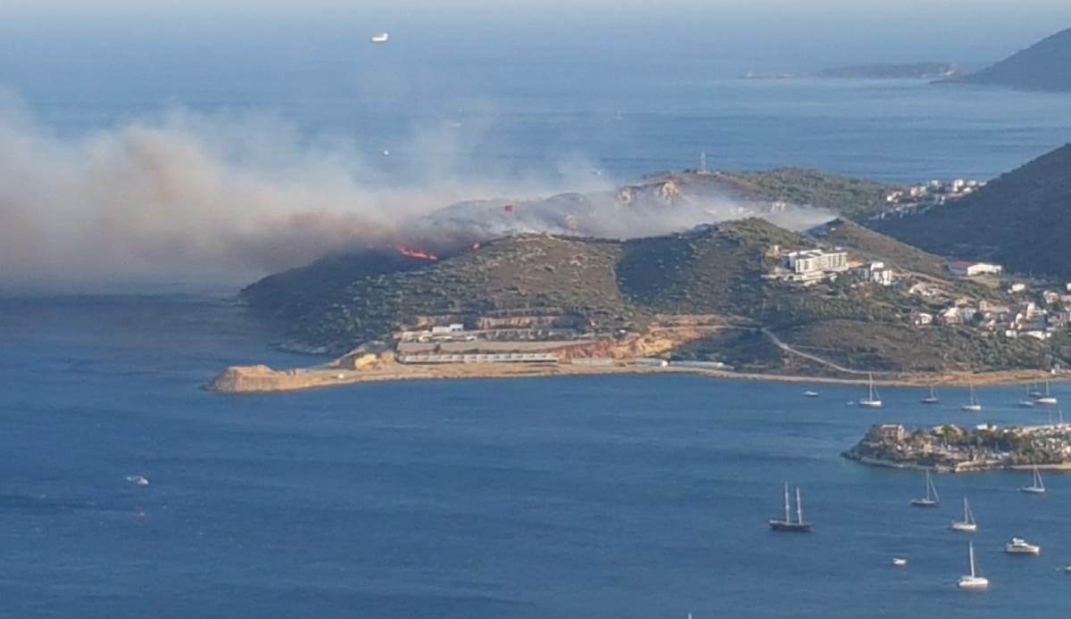 Datça'da orman yangını: Alevler kontrol altına alındı