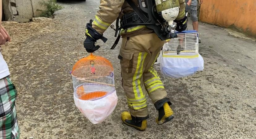 Bayram günü Pendik'te korkutan yangın! Mahsur kalan 5 kişi ve 9 kuş kurtarıldı
