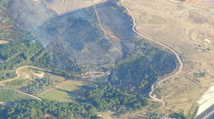 İzmir’de orman yangını: 10 hektarlık alan yandı