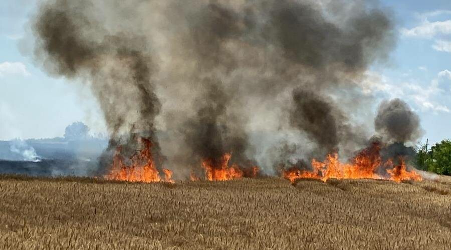 Yangın 10 dakikada 47 dönümlük tarlayı küle çevirdi Yangın 10 dakikada 47 dönümlük tarlayı küle çevirdi