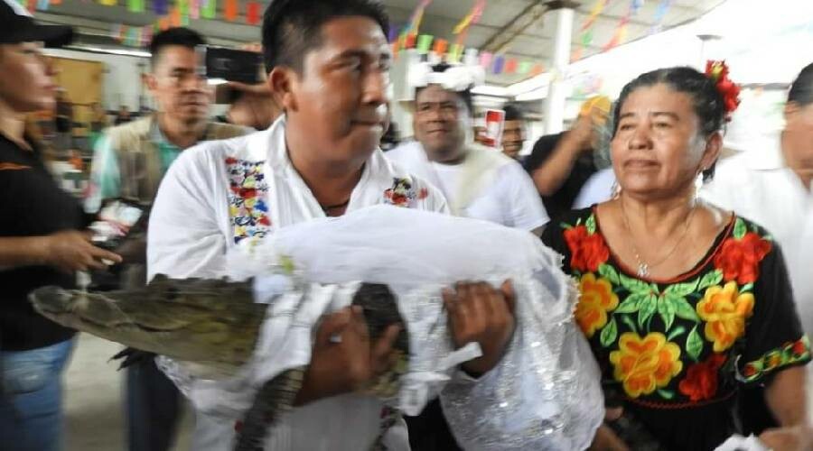 Meksika’da belediye başkanı timsahla evlendi: Biz birbirimizi seviyoruz Meksika’da belediye başkanı timsahla evlendi: Biz birbirimizi seviyoruz