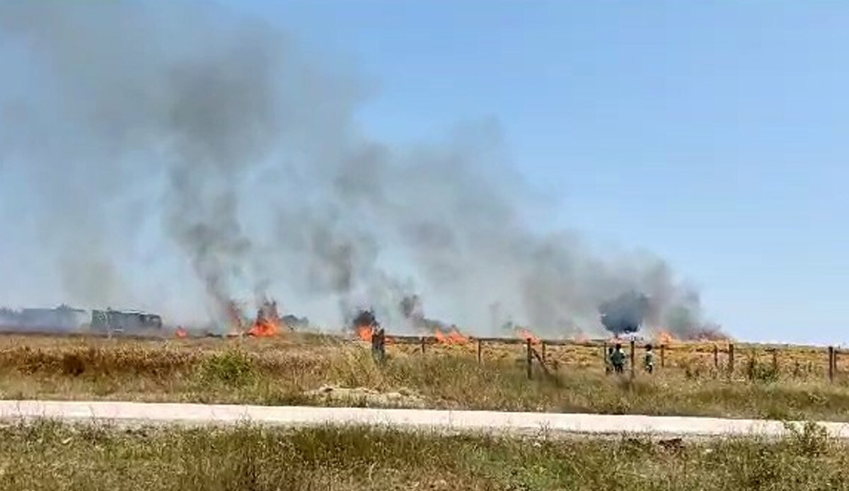 Tekirdağ'da hasadı bekleyen buğday tarlası kül oldu