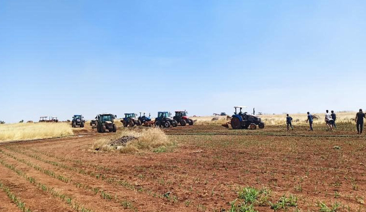 Şanlıurfa’da 120 dönüm buğday kül oldu! Müdahaleye giden 1 traktör kullanılamaz halde Şanlıurfa’da 120 dönüm buğday kül oldu! Müdahaleye giden 1 traktör kullanılamaz halde