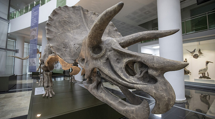 biyoçeşitlilik müzesi