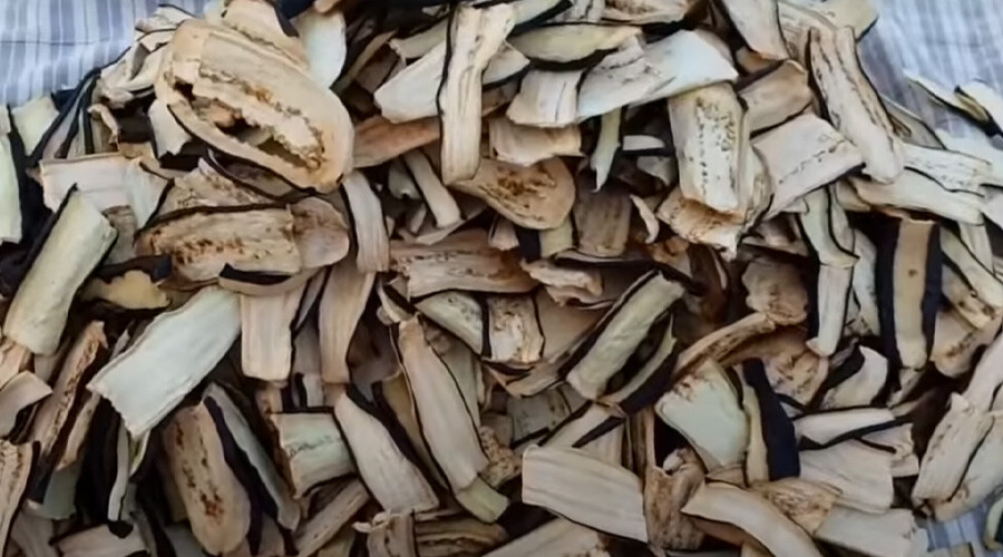 Patlıcan kuruturken bilmeniz gereken teknik! Küflenmiyor ve asla bozulmuyor...