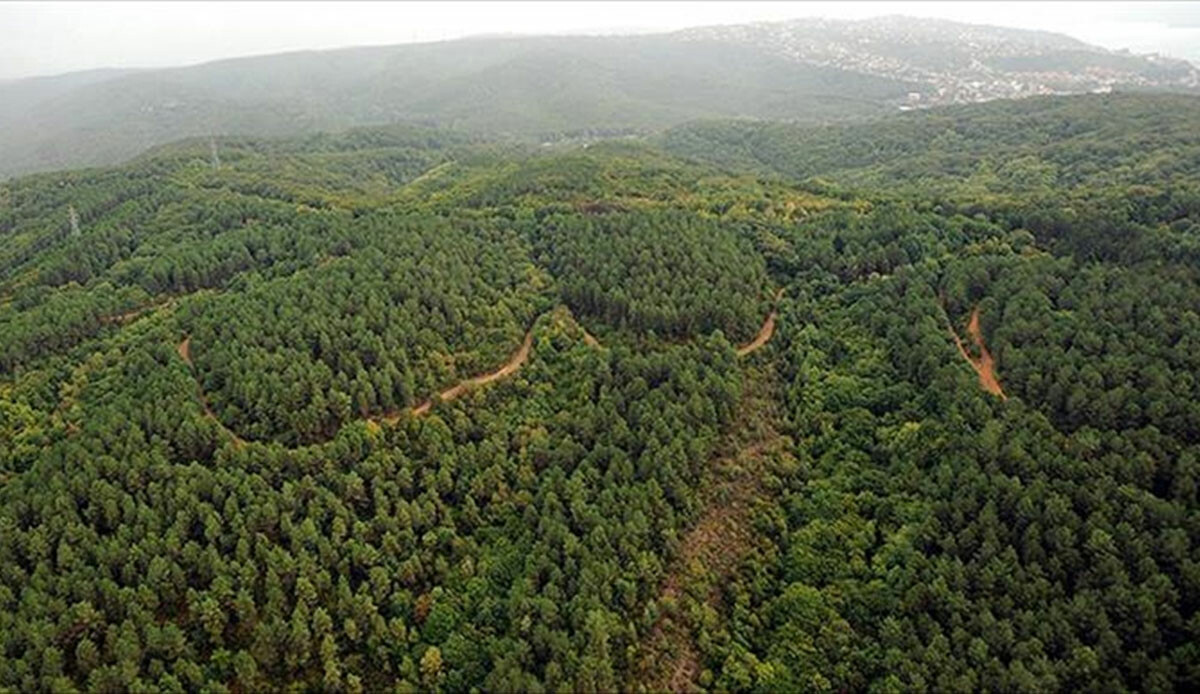 Son dakika... İçişleri Bakanlığı duyurdu: Yangın riski taşıyan bölgelere giriş yasaklandı Son dakika... İçişleri Bakanlığı duyurdu: Yangın riski taşıyan bölgelere giriş yasaklandı