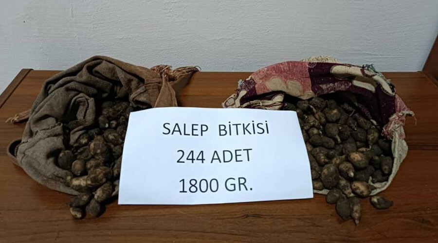 Kopardıklarına bin pişman oldular: 2 kişiye 220 bin TL para cezası kesildi