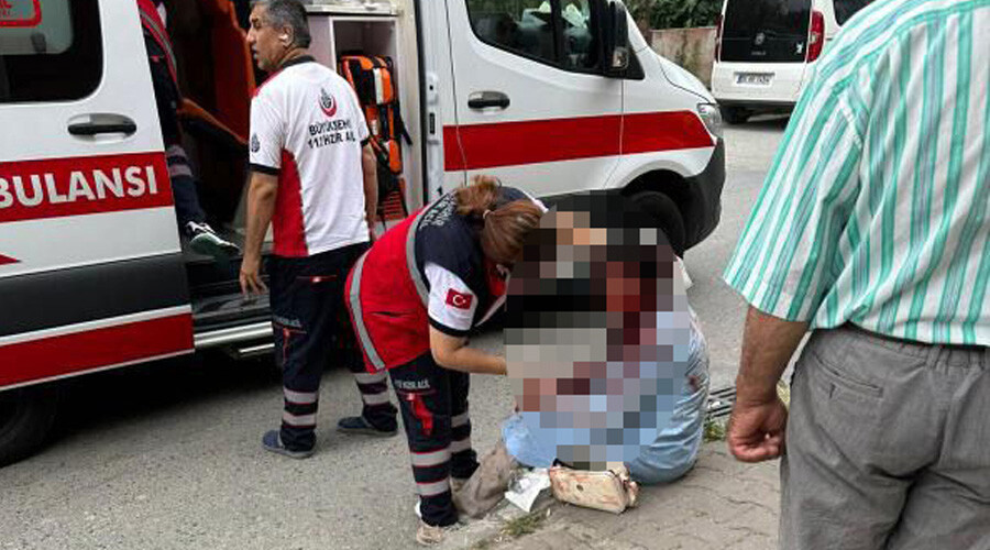 Bir başıboş köpek dehşeti daha: Kadını parçaladı, kan revan içinde bıraktı!