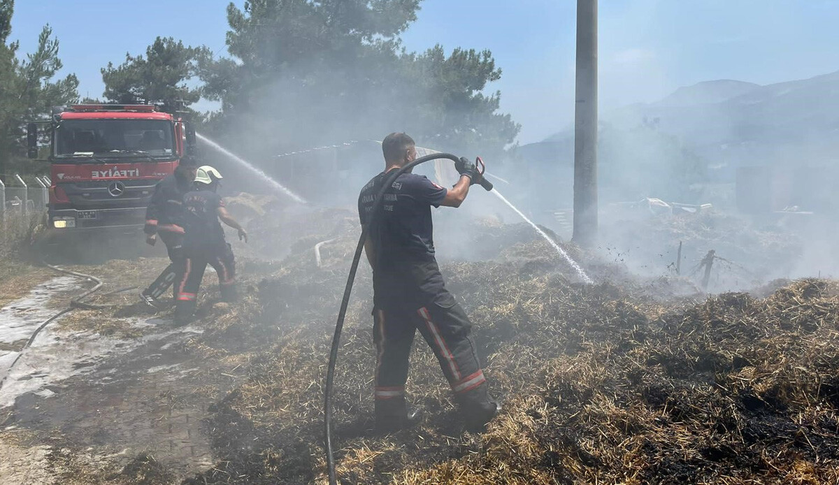 Korkutan yangın ormana sıçramadan söndürüldü