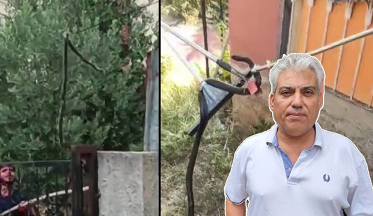 Havalar ısınınca yuvalarından çıktılar: Mahalleli diken üstünde