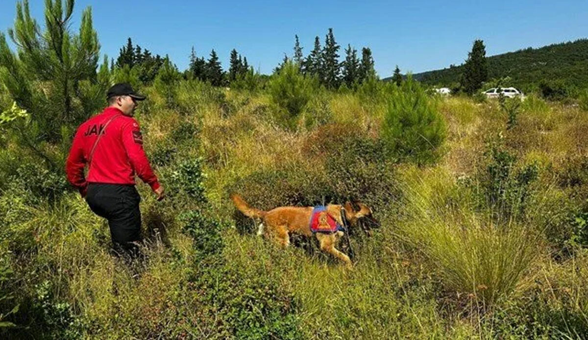 Kayıp ekonomist Berzeg’i arama çalışmalarında 23’ncü gün: KBRN ekipleri de dahil oldu