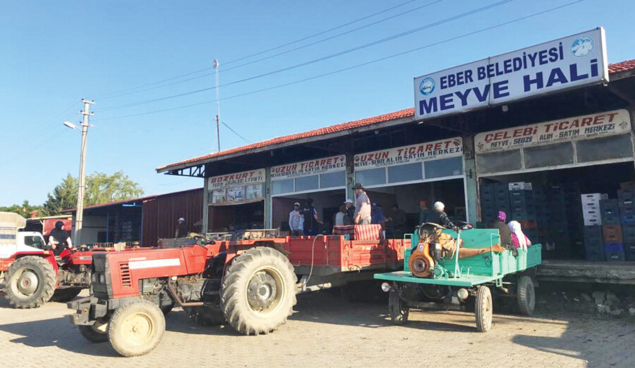 Üreticiye bir sorduk, bin ah işittik: Kiraz tatlı fatura acı Üreticiye bir sorduk, bin ah işittik: Kiraz tatlı fatura acı