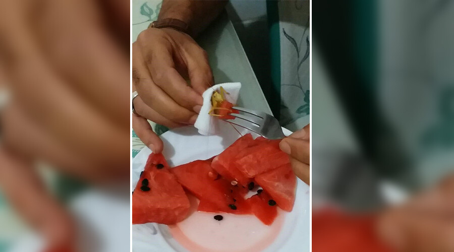 İştahlı çekirgeyi mutfağa götürüp karpuz yedirdi