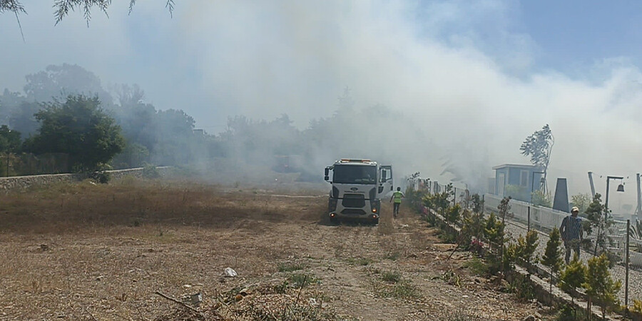 Bodrum'da makilik ve otluk alanda yangın çıktı