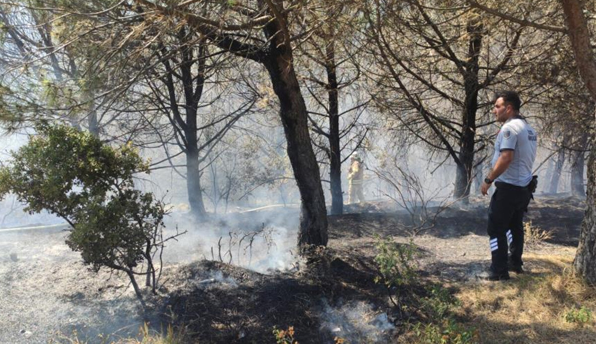 Sultangazi Kent Ormanı'nda yangın! Havadan ve karadan müdahale ile söndürüldü Sultangazi Kent Ormanı'nda yangın! Havadan ve karadan müdahale ile söndürüldü