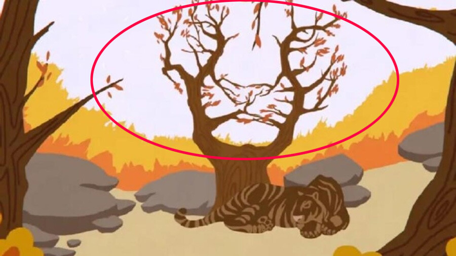 Görseldeki ikinci kaplan nerede? 5 saniyede sadece gerçek zekiler buluyor