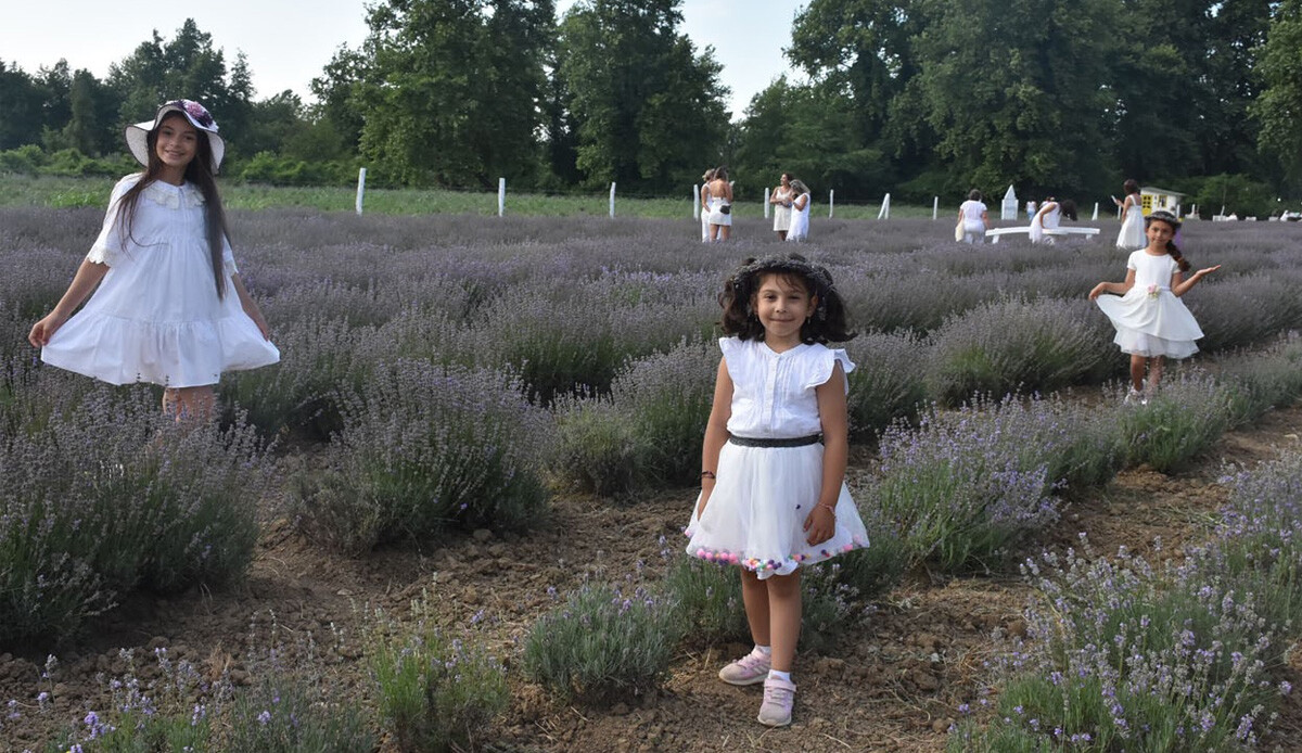 Eşsiz manzarasıyla göz kamaştırıyor… Turizmi canlandıran lavanta tarlaları