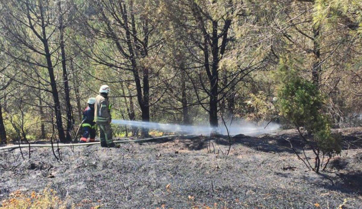 Sultangazi Kent Ormanı'nda yangın! Havadan ve karadan müdahale ile söndürüldü