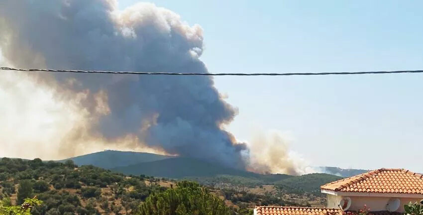 Bodrum’da korkutan orman yangını! Yerleşim alanlarına sıçradı
