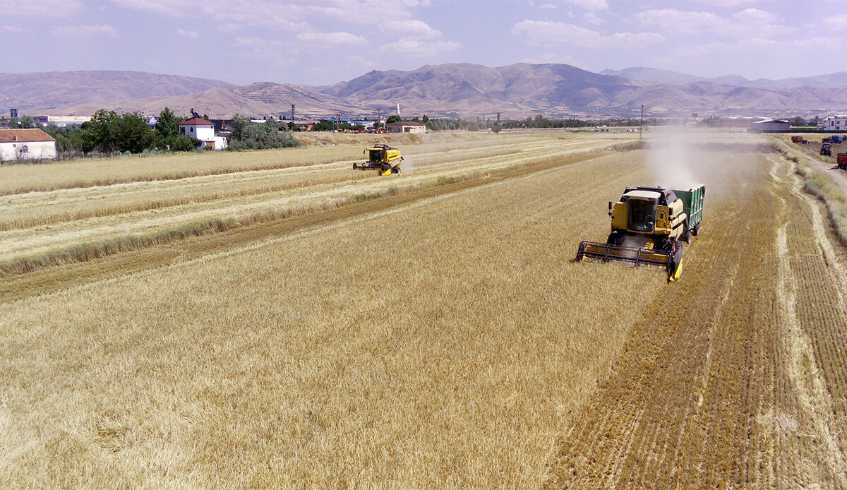 Son yılların en yüksek arpa ve buğday hasadı Elazığ'dan geliyor