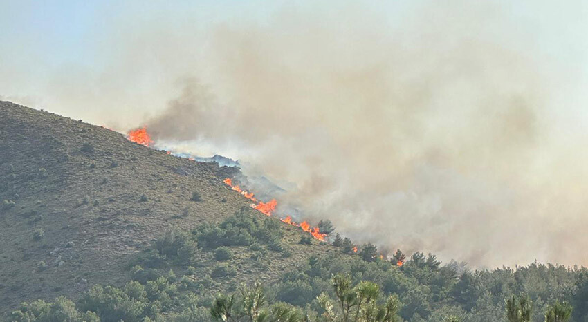 Çanakkale Gökçeada'da orman yangını çıktı, havadan karadan müdahale sürüyor