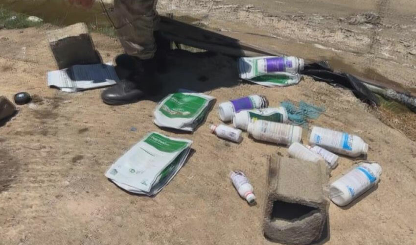 Deprem bölgesinde feci olay: Onlarca hayvan telef oldu