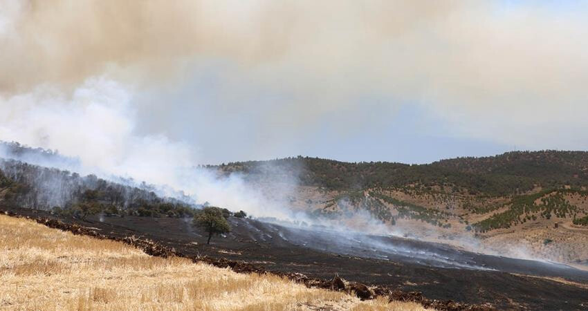 Kahramanmaraş'ta orman yangını kontrol altında Kahramanmaraş'ta orman yangını kontrol altında