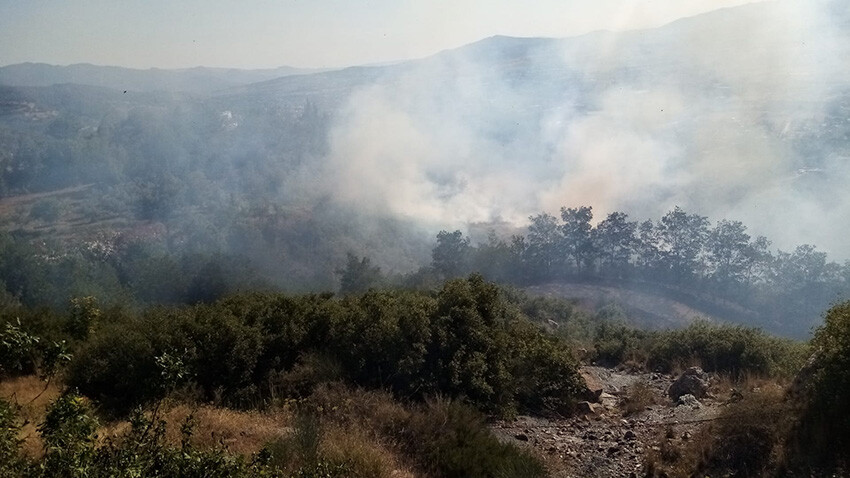 Amanos Dağları'nda yangın çıktı
