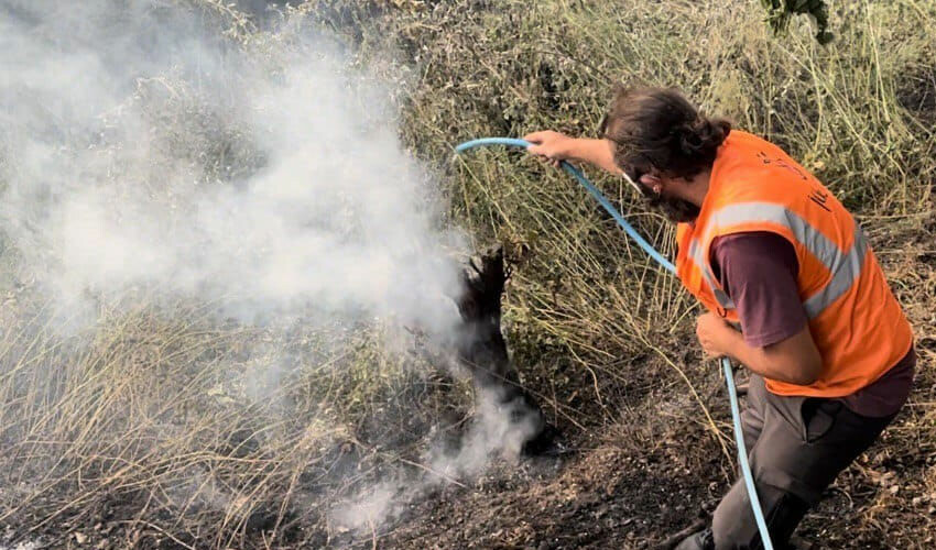 Türkiye'nin ciğerleri yanıyor... Alevlerle topyekun mücadele aralıksız sürüyor