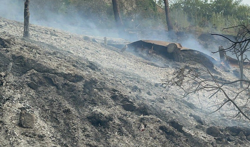 Türkiye'nin ciğerleri yanıyor... Alevlerle topyekun mücadele aralıksız sürüyor