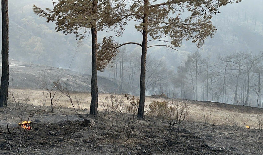 Türkiye'nin ciğerleri yanıyor... Alevlerle topyekun mücadele aralıksız sürüyor