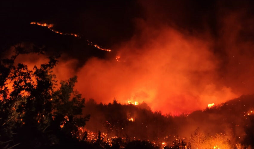 Akdeniz'in ciğerleri yanıyor!